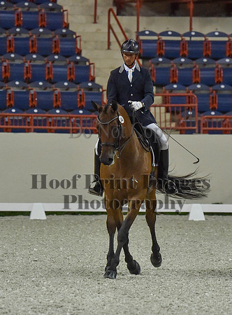 CWdressageI(8-20-16)0471