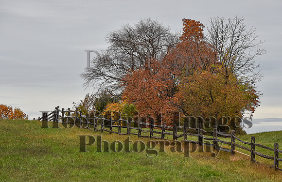 CheshirePC1(10-23-22)0112