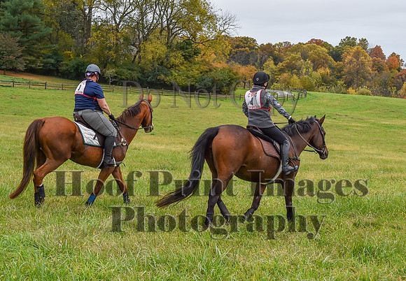 CheshirePC1(10-23-22)0128