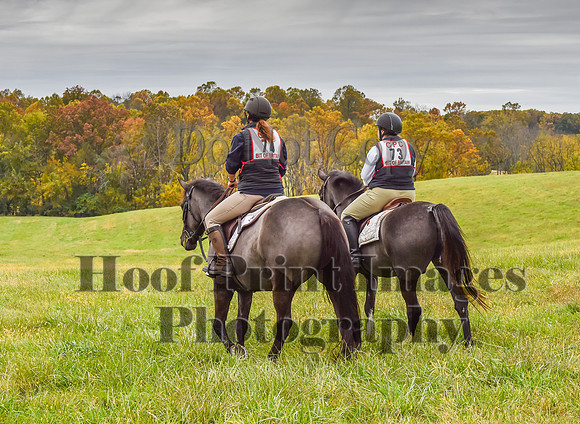 CheshirePC1(10-23-22)0147