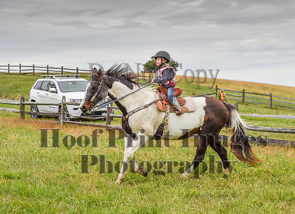 CheshirePC1(10-23-22)0186