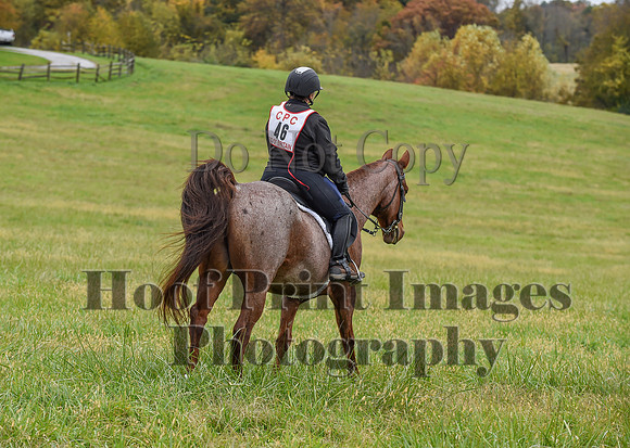 CheshirePC1(10-23-22)0197