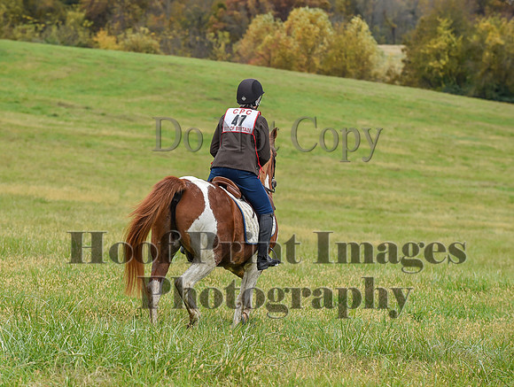 CheshirePC1(10-23-22)0198