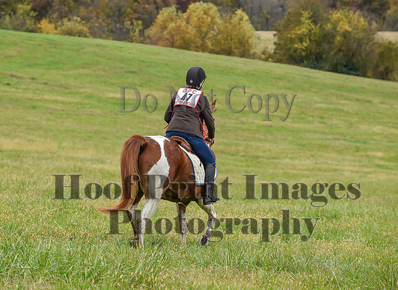 CheshirePC1(10-23-22)0200