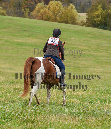 CheshirePC1(10-23-22)0201