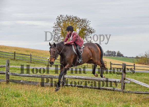 CheshirePC1(10-23-22)0211