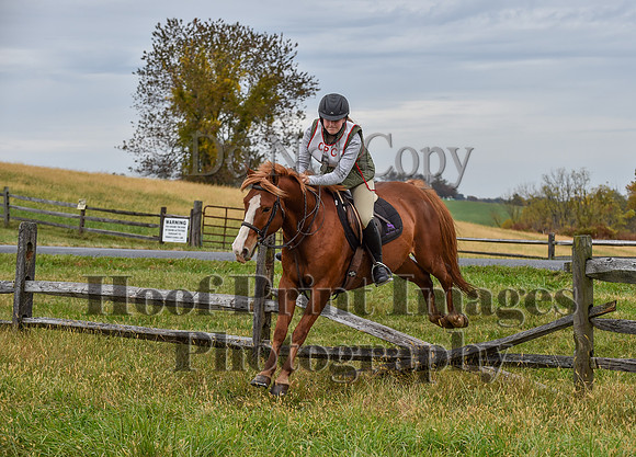 CheshirePC1(10-23-22)0257