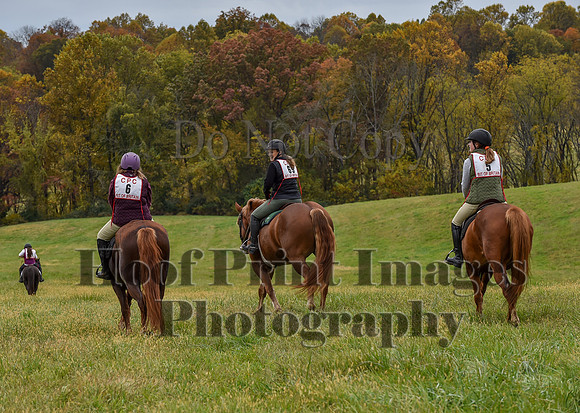 CheshirePC1(10-23-22)0262