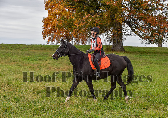 CheshirePC1(10-23-22)0285