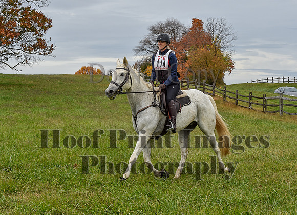 CheshirePC1(10-23-22)0355