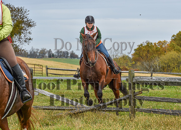CheshirePC1(10-23-22)0389