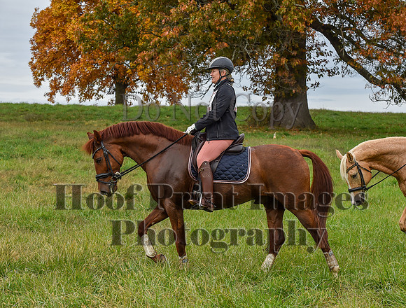 CheshirePC1(10-23-22)0392