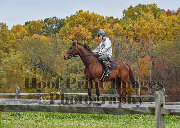 CheshirePC1(10-23-22)0405