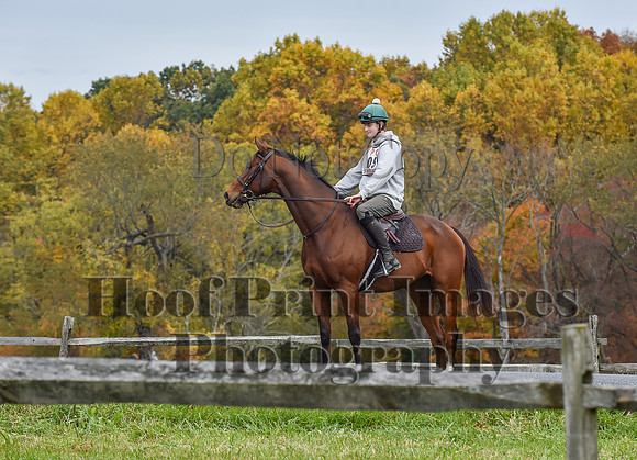CheshirePC1(10-23-22)0406
