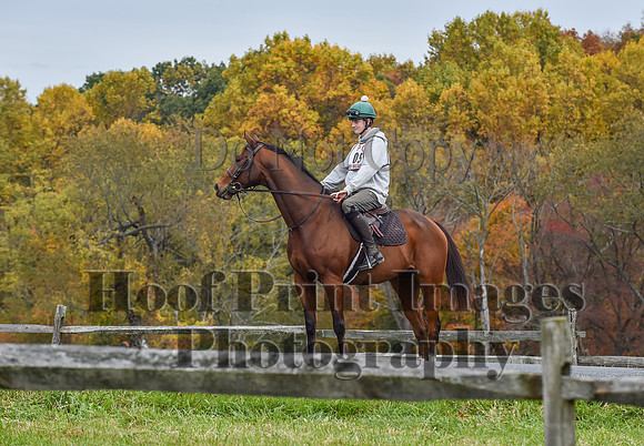 CheshirePC1(10-23-22)0407