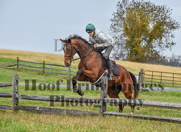 CheshirePC1(10-23-22)0414