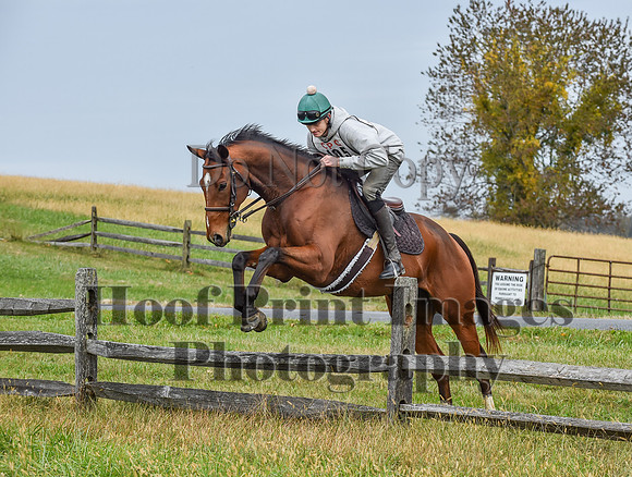 CheshirePC1(10-23-22)0415