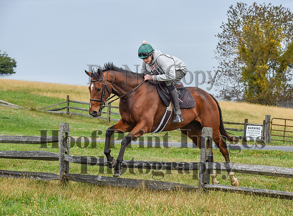 CheshirePC1(10-23-22)0416