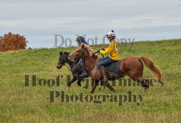CheshirePC1(10-23-22)0465