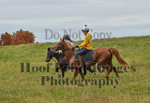 CheshirePC1(10-23-22)0466