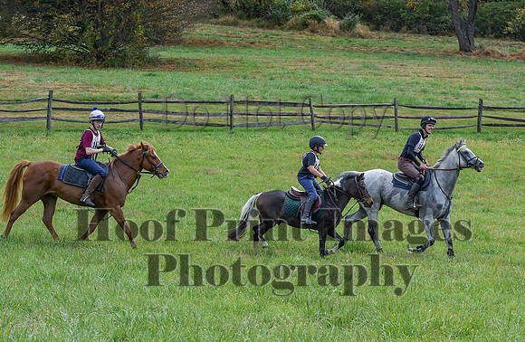 CheshirePC1(10-23-22)0474