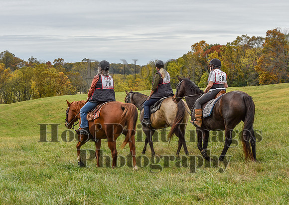 CheshirePC1(10-23-22)0513
