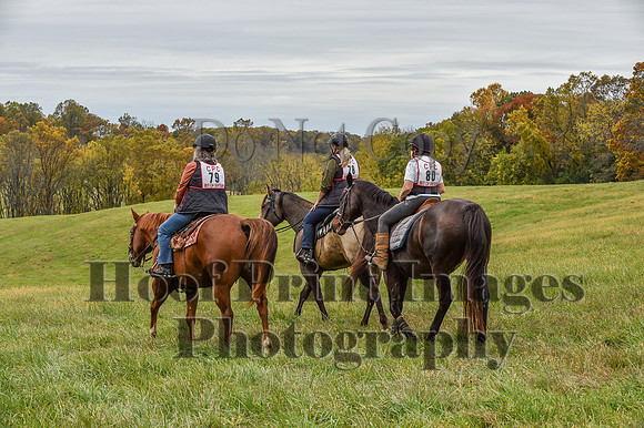 CheshirePC1(10-23-22)0515