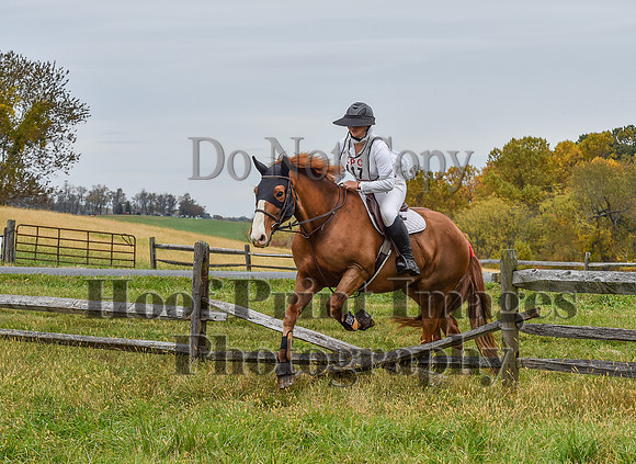 CheshirePC1(10-23-22)0528