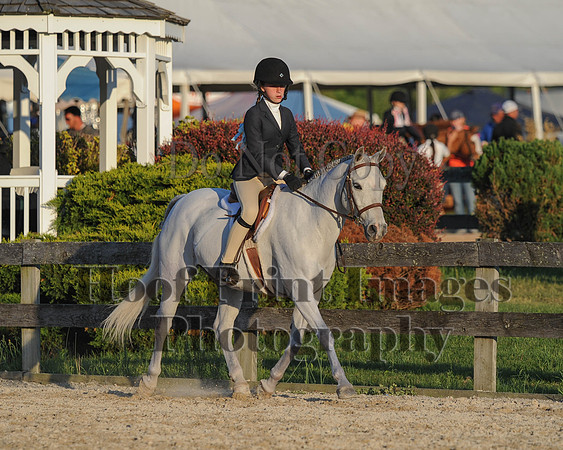 BRSa(5-17-14)SMChP0111