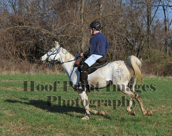 Foxcatcher(4-12-14)0569