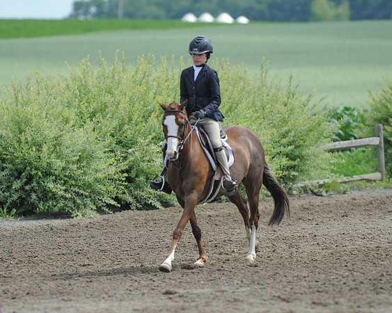 SC(6-28-14)SMPony0024