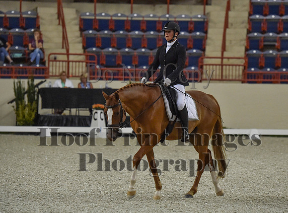 CWdressageI(8-20-16)0510