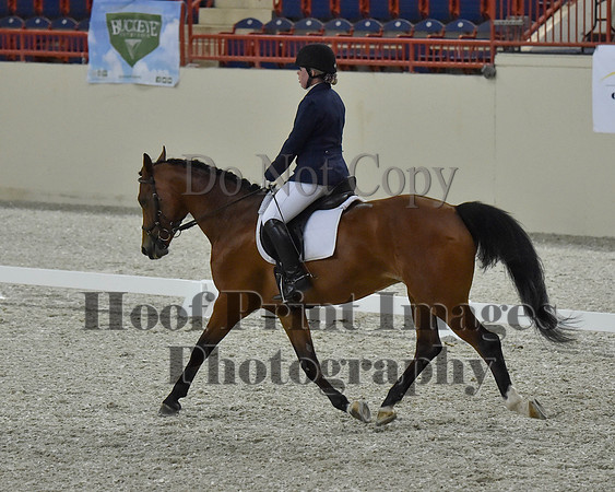 CWdressageII(8-21-16)1379