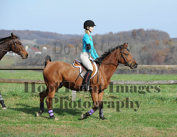 AndrewsBr(11-9-14)0427