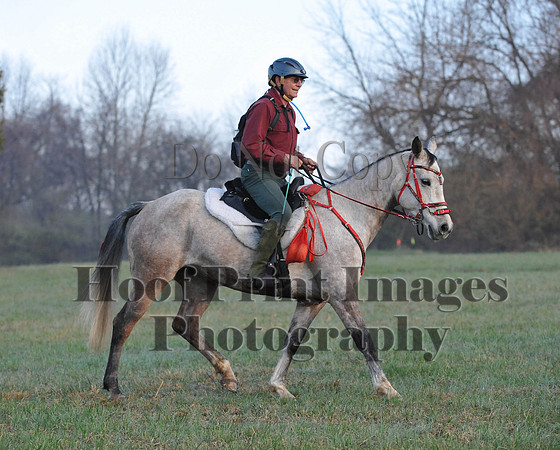 Foxcatcher(4-12-14)0189