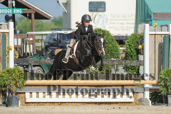 BRSa(5-17-14)SMChP0028