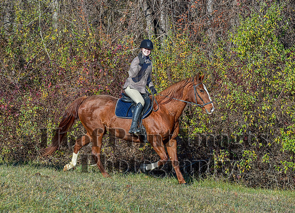 FairHillFallPC(11-30-24)0135