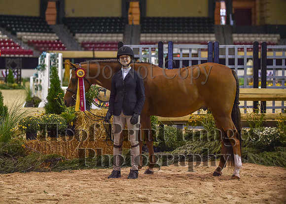 MHPS2(9-16-18)0145