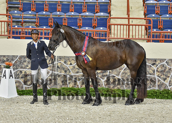 CWdressageI(8-20-16)1192