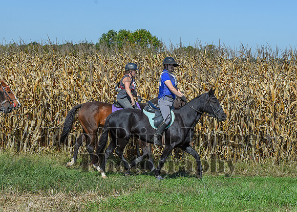 CheshirePonyClubPC(10-6-24)0372
