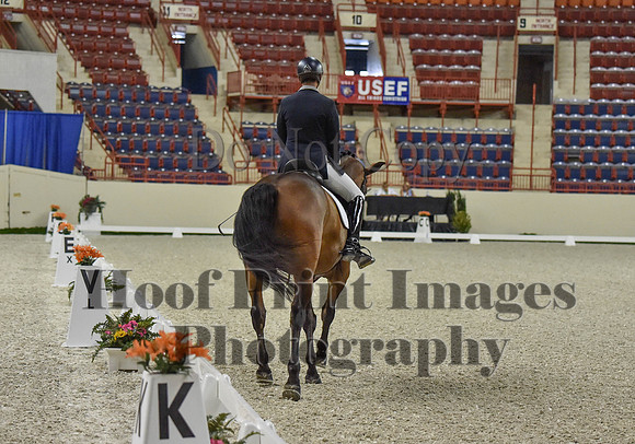 CWdressageI(8-20-16)0468