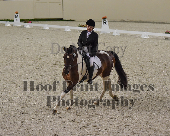 CWdressageII(8-21-16)1086