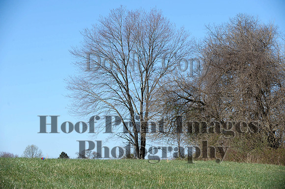 FairHillPC(3-26-16)0002