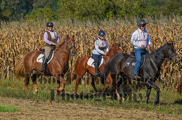 CheshirePonyClubPC(10-6-24)0084
