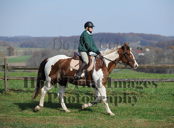 AndrewsBr(11-9-14)0301