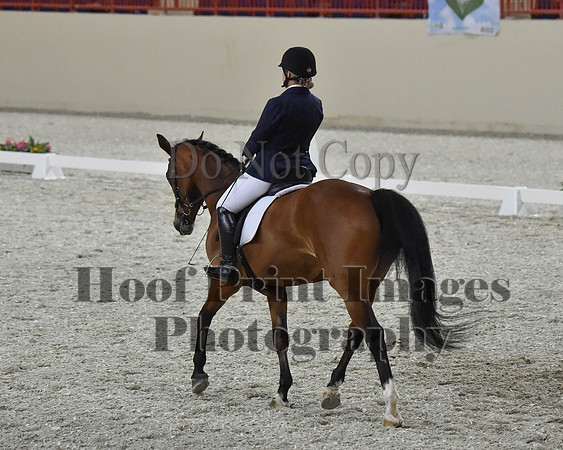 CWdressageII(8-21-16)2126