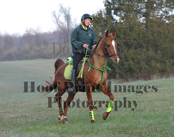 Foxcatcher(4-12-14)0166