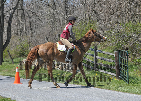 CheshirePC(4-16-16)0089