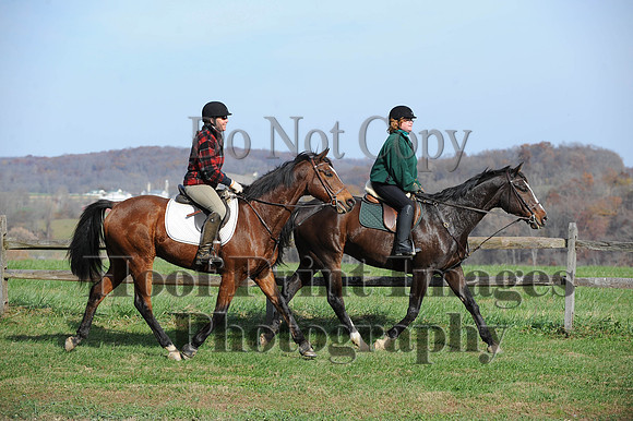 AndrewsBr(11-9-14)0455
