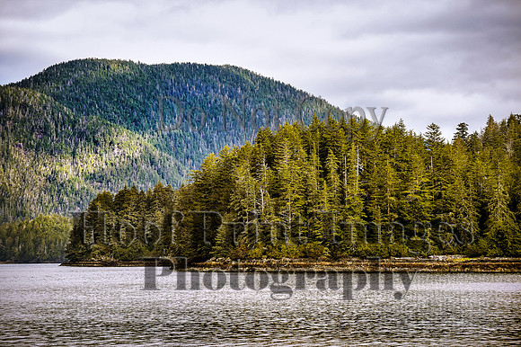 Alaska T(Sept2022)0378